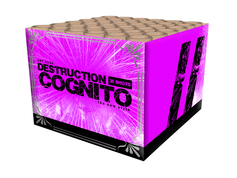 Destruction Cognito